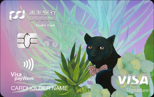 浦发Visa御玺信用卡(黑豹版)