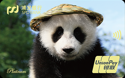 浦发梦卡之动感熊猫信用卡-草帽版