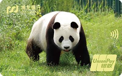 浦发梦卡之动感熊猫信用卡-草地版
