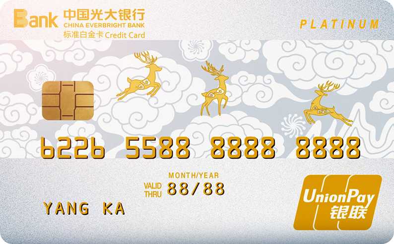 光大孝心标准白金数字卡