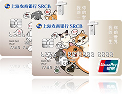 宠物主题信用卡