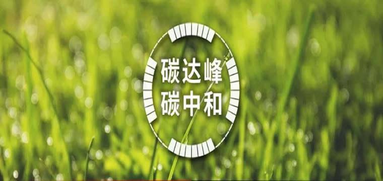东亚中国成为央行支持碳减排的货币政策工具，助力实现碳达峰碳中和目标