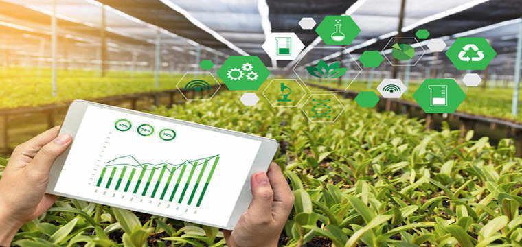 华夏银行探路金融服务乡村振兴新模式