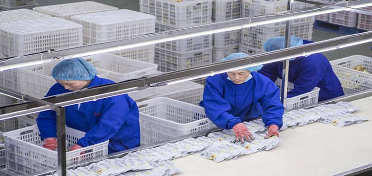 农业银行绿色金融支持企业绿色发展