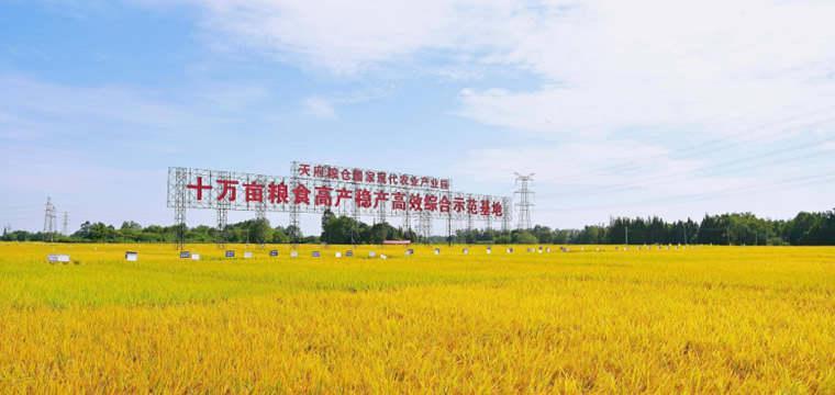 工商银行打造专属产品服务支持粮食生产