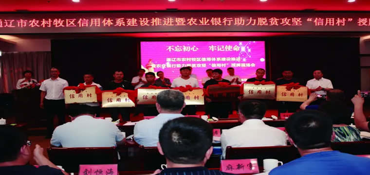 农业银行推出“党建+金融+科技”信用村信用户综合服务平台